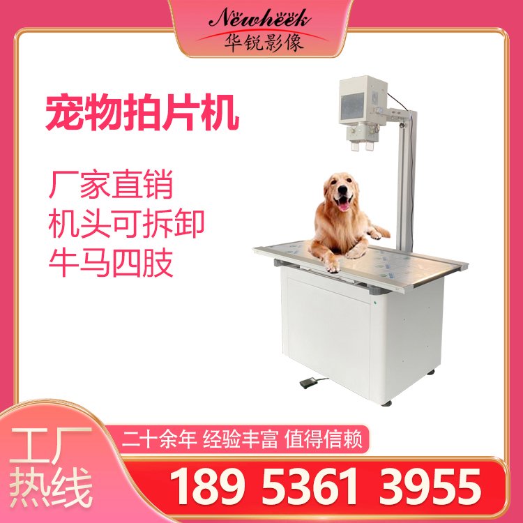 动物拍片机 宠物DR 兽用数字成像设备 猫狗检查 宠物X光机