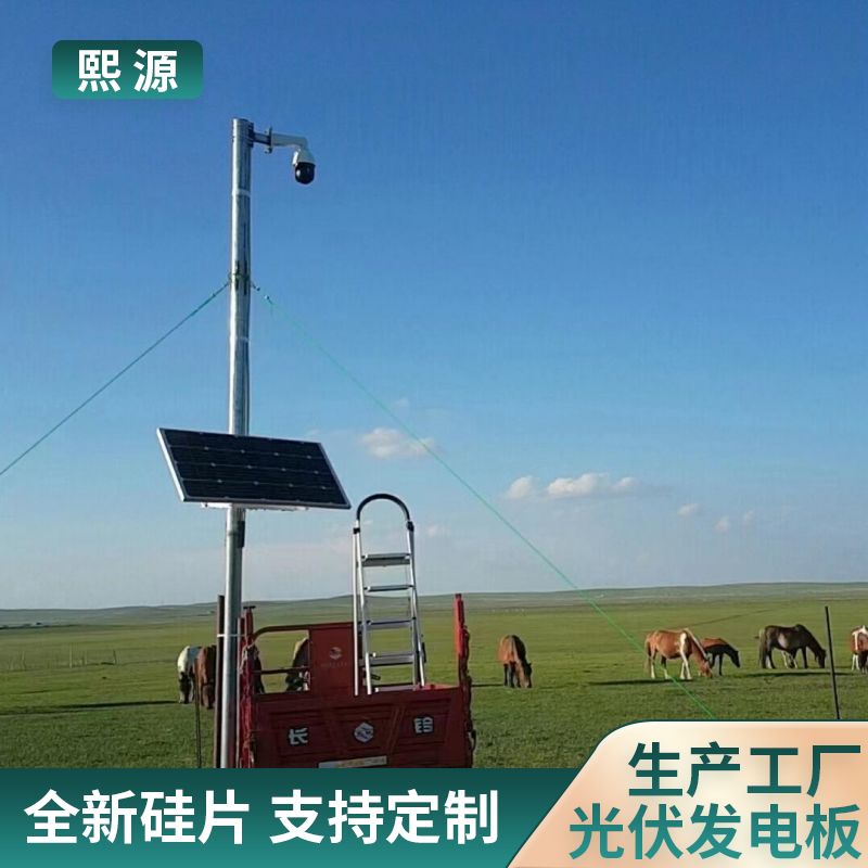 风光互补太阳能监控供电系统 智慧农业 虫情监测 灭蚊灯 XY-100w18v