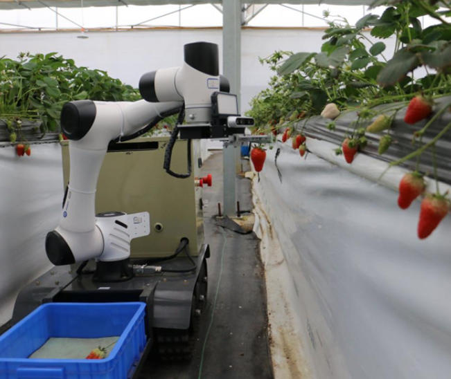 中惠 采摘机器人 无线充方案 无线充电接收设备厂家 ZK02