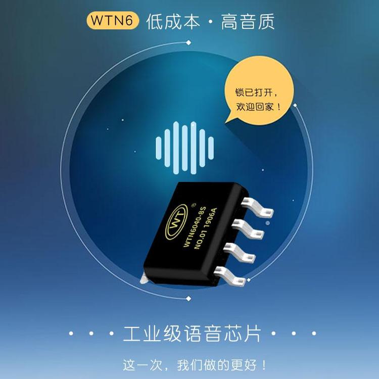 内置功放 语音芯片 电子锁语音ic 定制 WTN6系列 16级音量控制