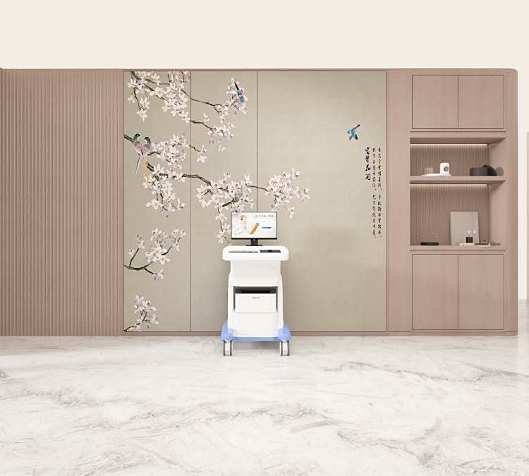 体质辨识仪器 安力诺 九种体质分析仪 体质检测仪器设备 白色