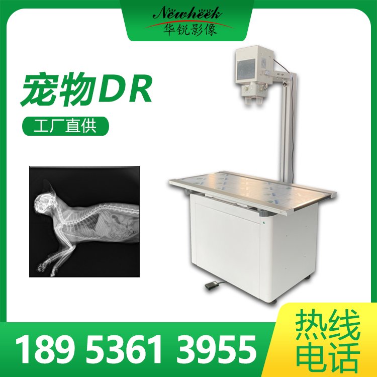 动物拍片机 宠物DR 兽用数字成像设备 猫狗检查 宠物X光机