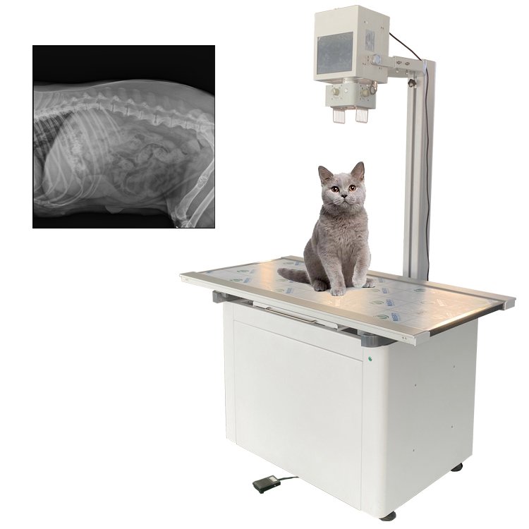 兽用dr 宠物X光机 动物拍片机 猫狗检查 数字成像仪 宠物X光机