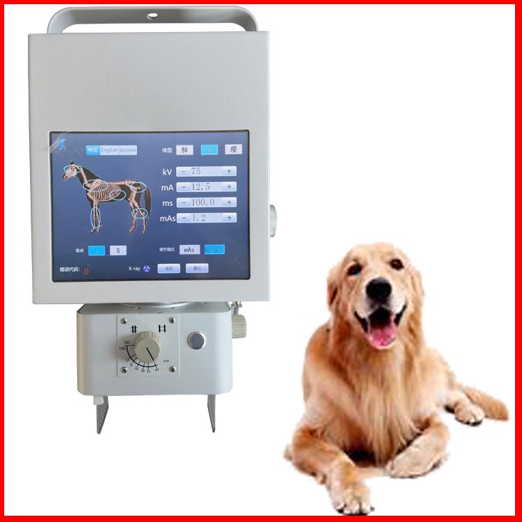 兽用dr 拍片机可拍摄猫狗 图像清晰厂家自产无需安装 宠物X光机