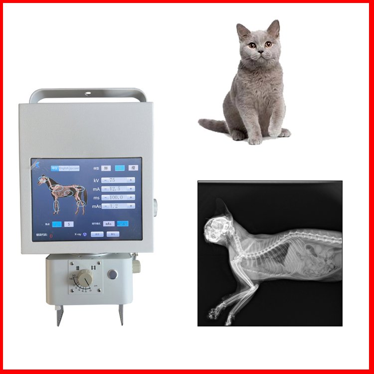 兽用dr 拍片机可拍摄猫狗 图像清晰厂家自产无需安装 宠物X光机