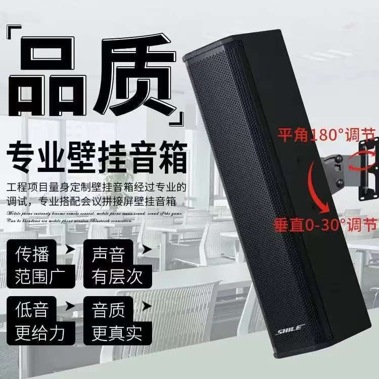 狮乐专业中小型会议室音响套装 壁挂式音箱功放调音台 黑色