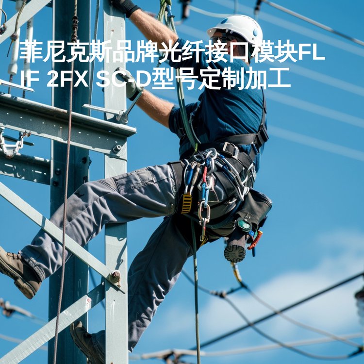 菲尼克斯品牌光纤接口模块FL IF 2FX SC-D型号定制加工 盒装