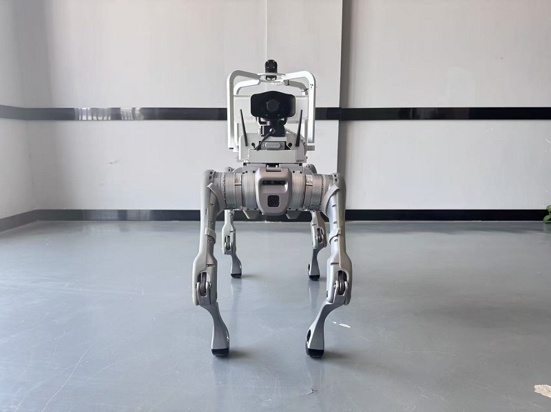 消防救援机器狗 智能安防巡检 电力巡检四足机器人 世隆科技 复合金属