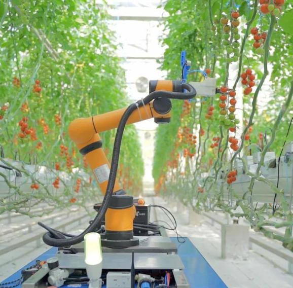 蔬菜采摘机器人 无线充电模组 无线充电智能设备 ZK02