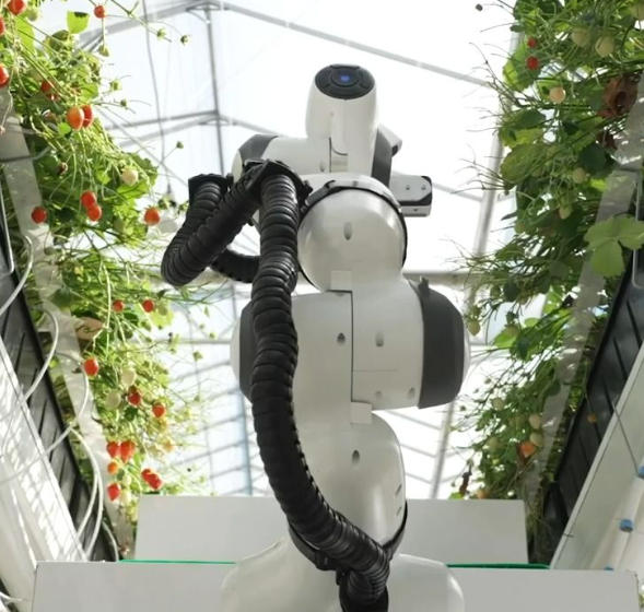 智能采摘机器人 无线充电模组 长续航 无线充电新品 ZK02