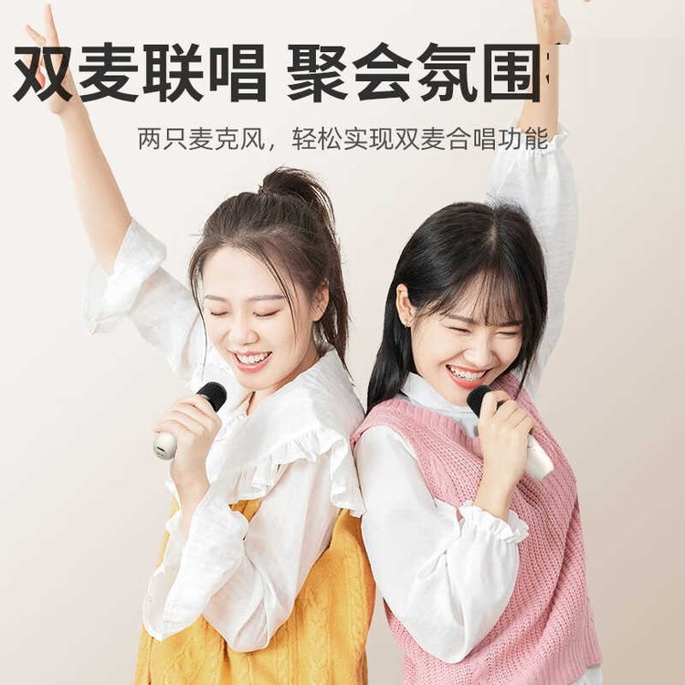 纽曼 迷你K歌音响 DP97 雅物退役纪念品 白色