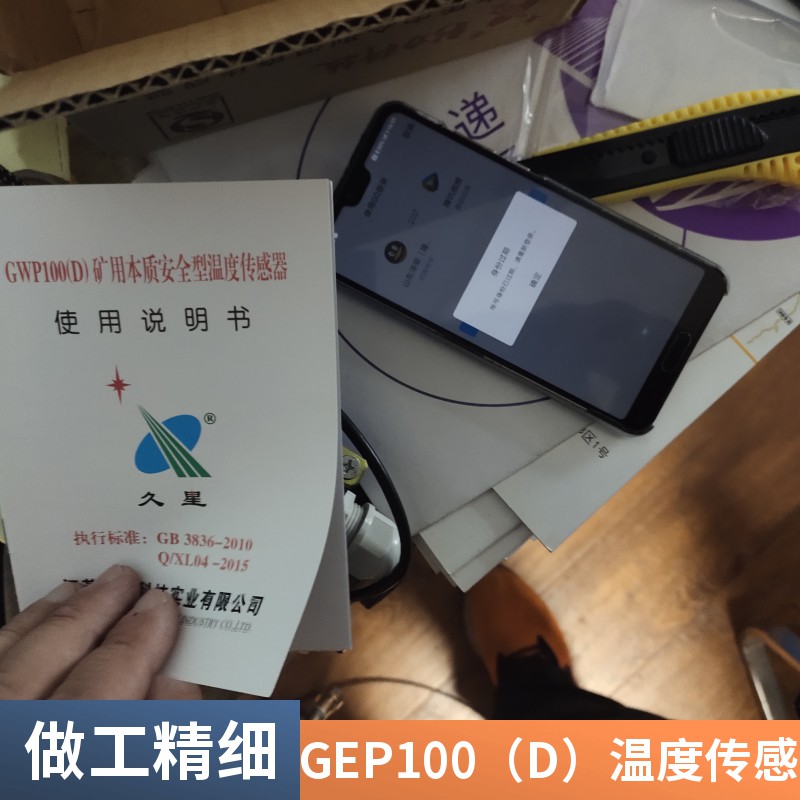 山东泽荣矿用本安型温度传感器GWP200